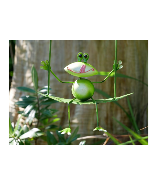 Frog On Leaf Swing